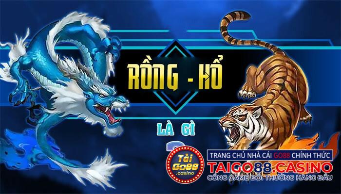 Rồng Hổ là gì? 