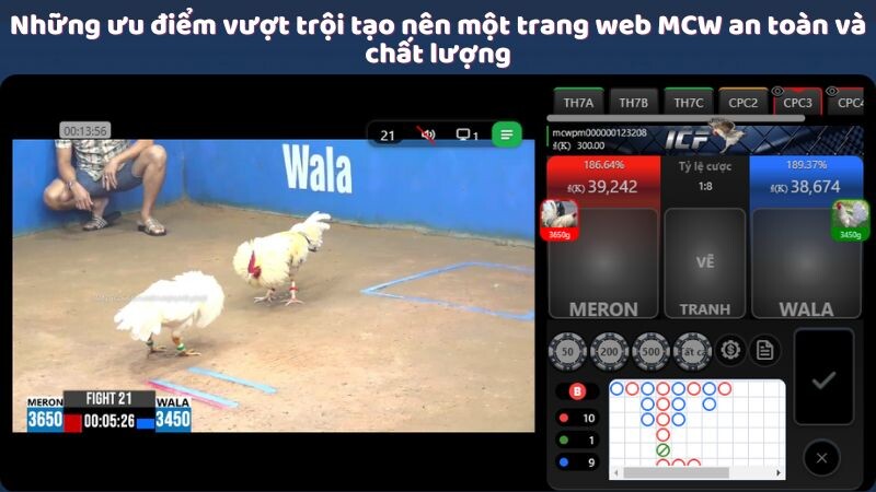 Những ưu điểm vượt trội tạo nên một trang web MCW an toàn và chất lượng